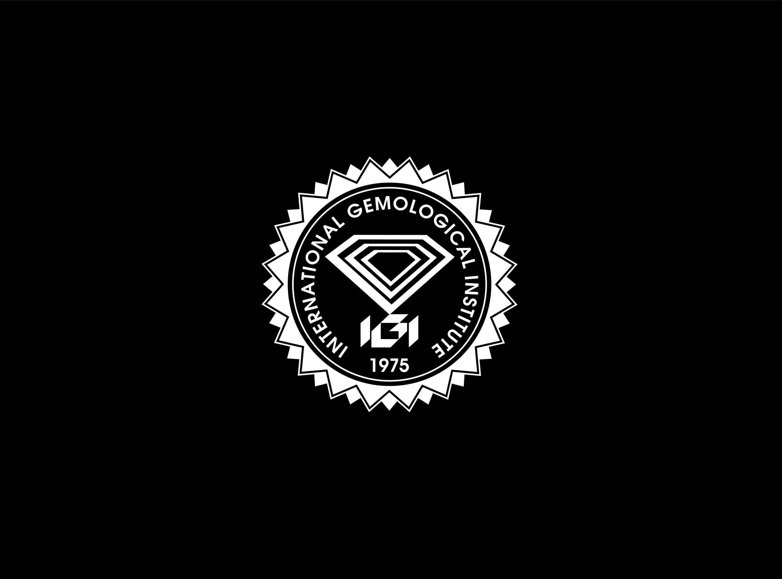 Logotipo oficial IGI en blanco sobre fondo negro.