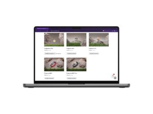 Financiación de los diamantes Brilianto: pantalla para elegir los productos